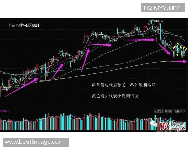 杭州与重庆篮球队赛后技术分析与战术复盘探讨