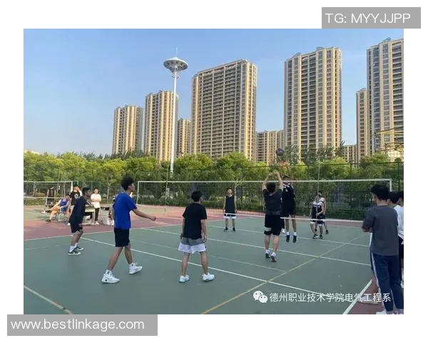 深圳排球队战术解析:从技术细节到团队协作的全方位探讨 深圳排球队战术解析:从技术细节到团队协作的全方位探讨